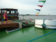 2022 The Queen's Platinum Jubilee. Syntan sails up the Humber in the flotilla. Photo courtesy of Tony Coates.